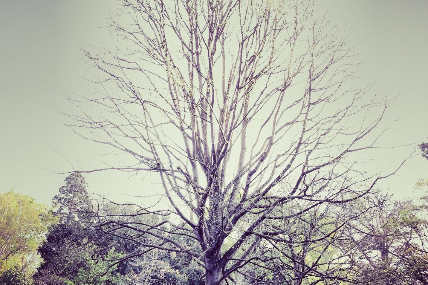 Sapiente facilis adipisci dolores amet