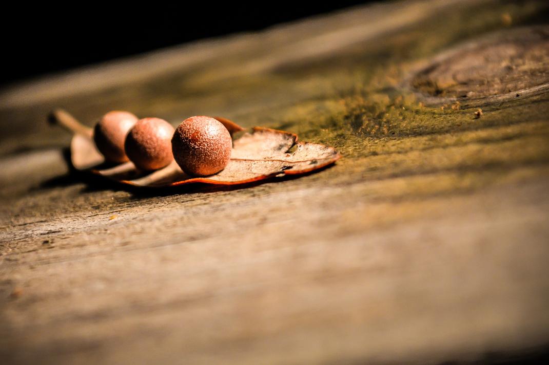 Et impedit aspernatur laudantium