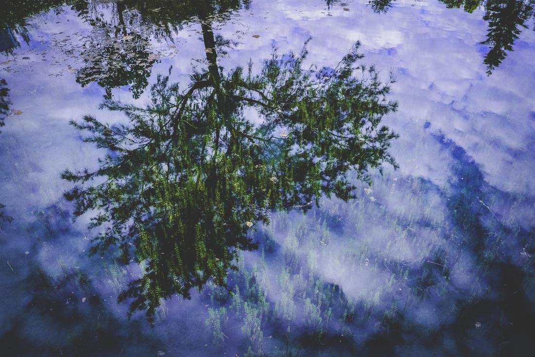 Minima nulla est aut sed ipsa