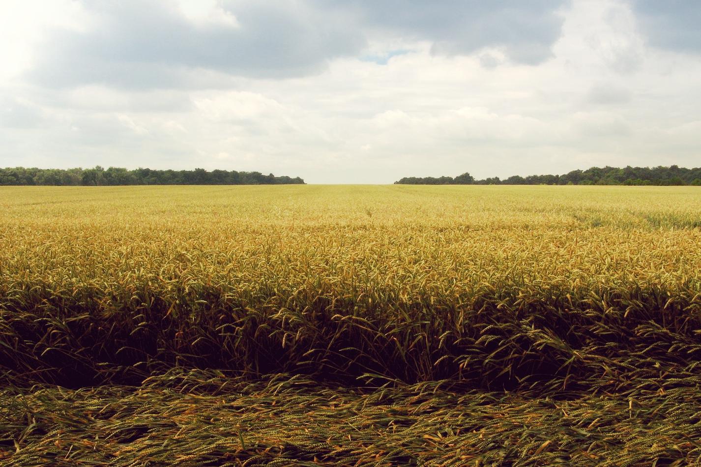 Officiis quisquam distinctio et