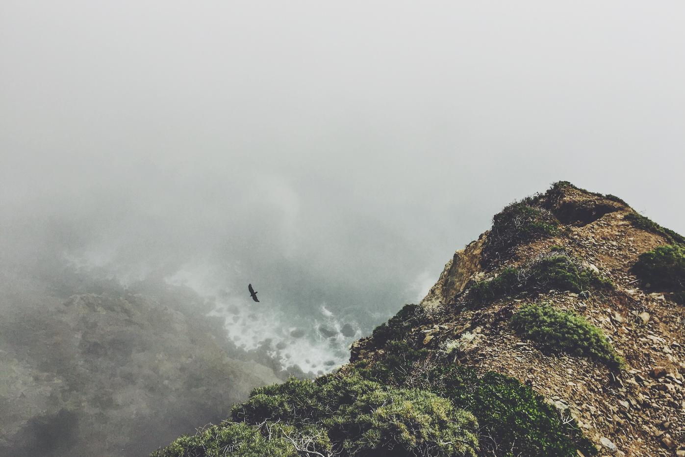 Fuga architecto quia est et