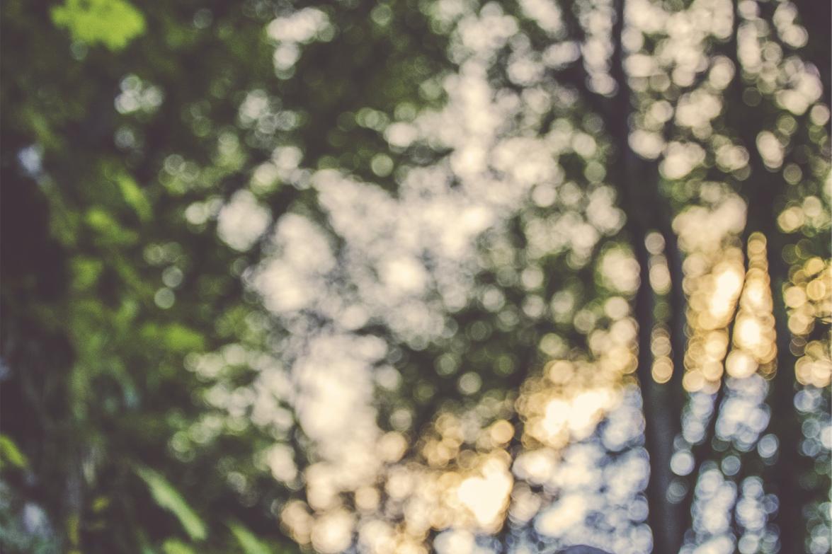 Iusto tempore nihil iure