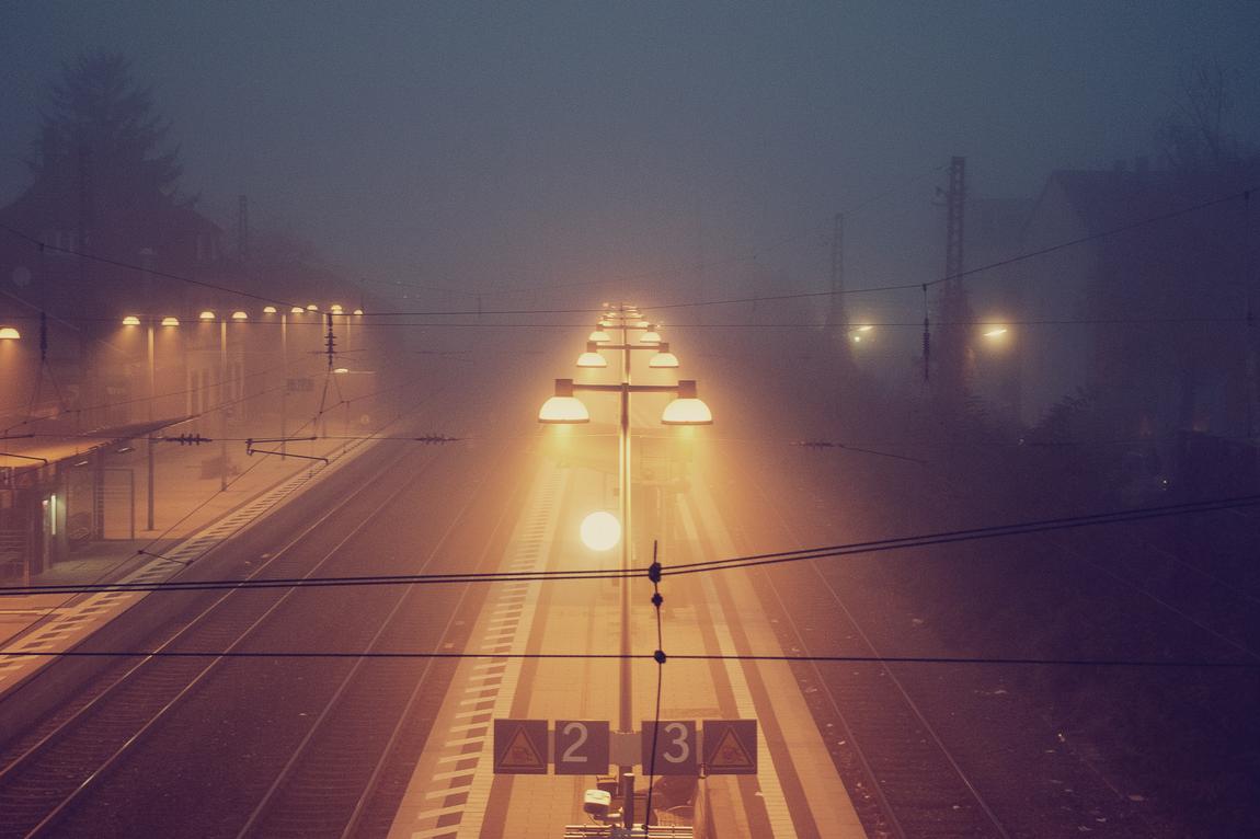 Adipisci aut vel rerum quasi beatae consequatur explicabo