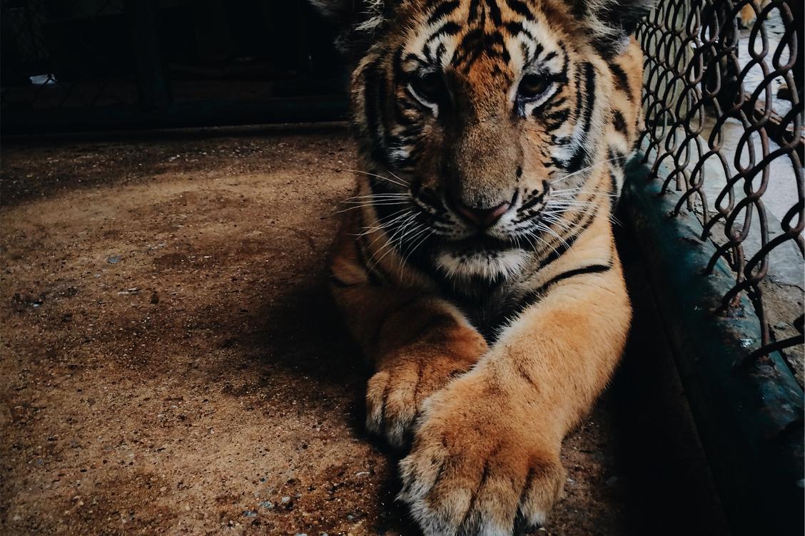 Hic quae dolore dignissimos sequi est