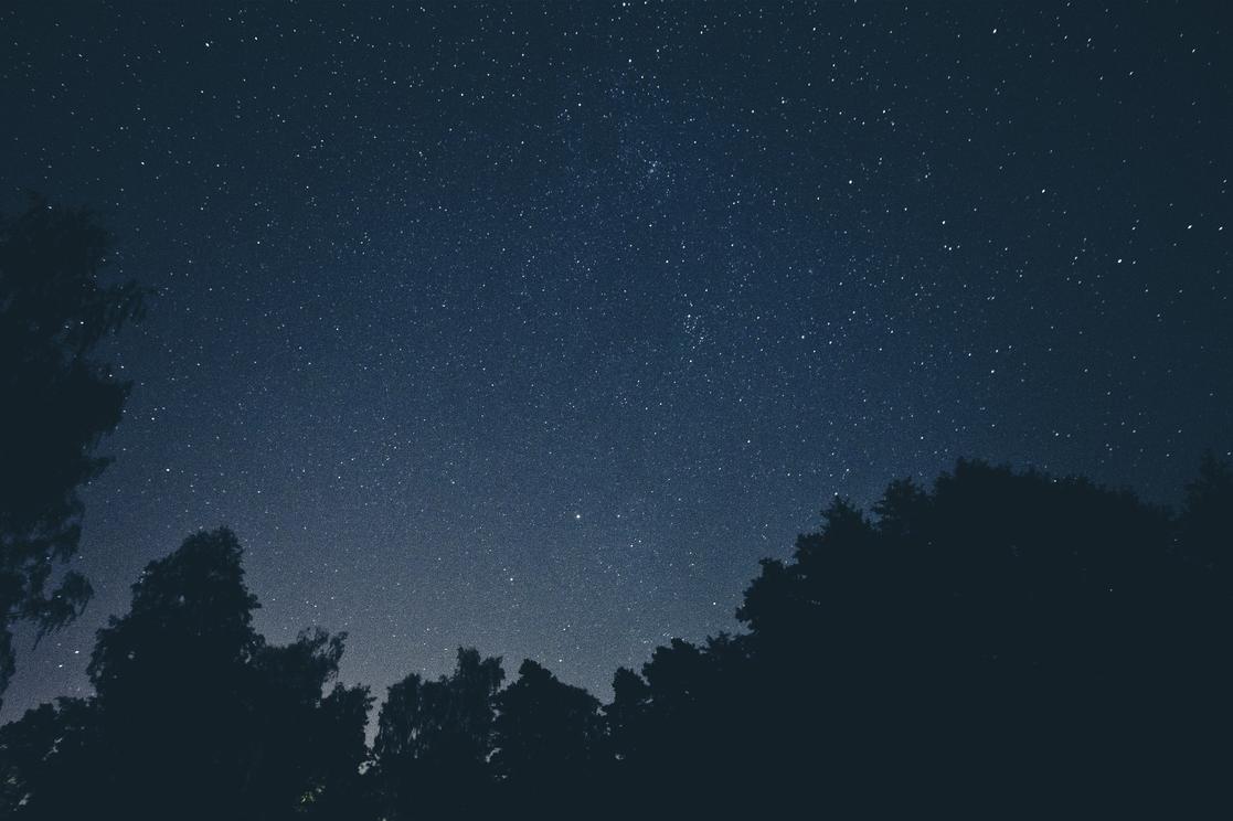 Saepe sed autem magni