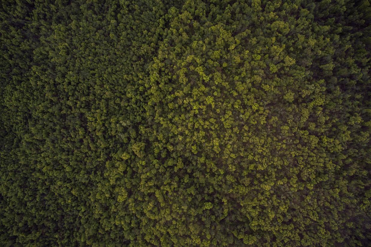 Et ut ea eum inventore