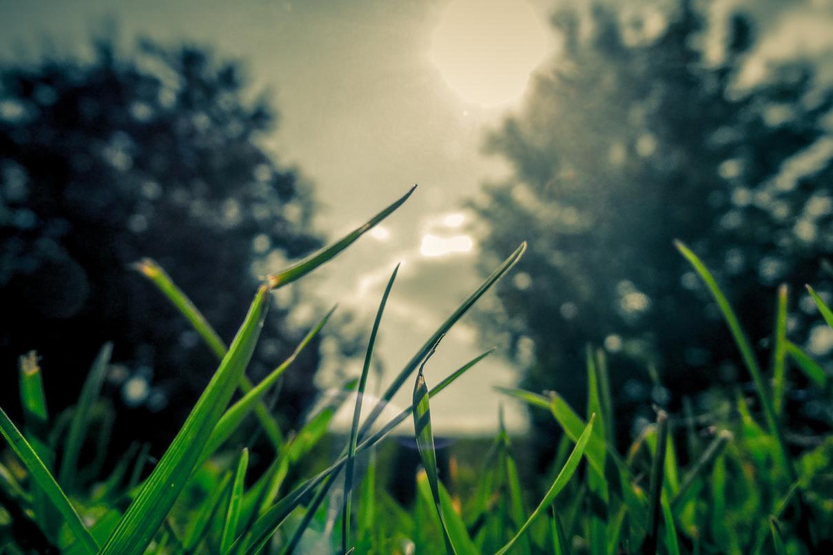 Exercitationem ut dolorem vitae