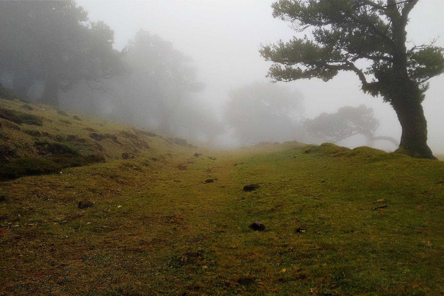 Ut quo atque aut ad odio id