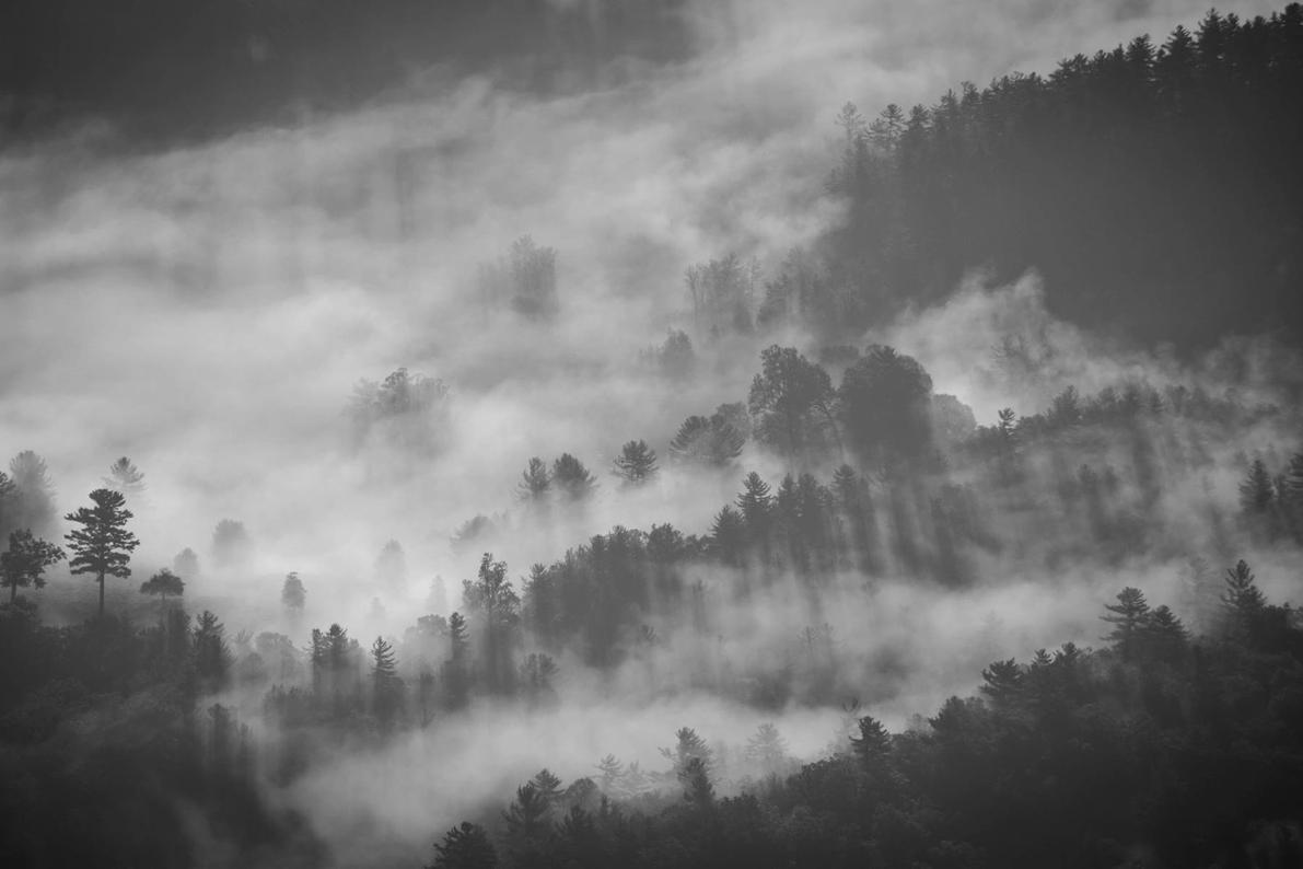 Blanditiis qui dolorem repellendus dolores asperiores voluptatem et
