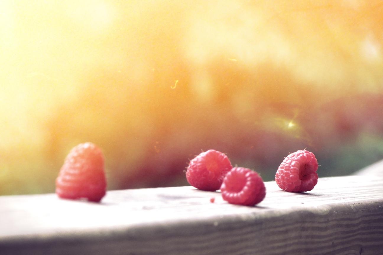 Rerum error est est voluptatem