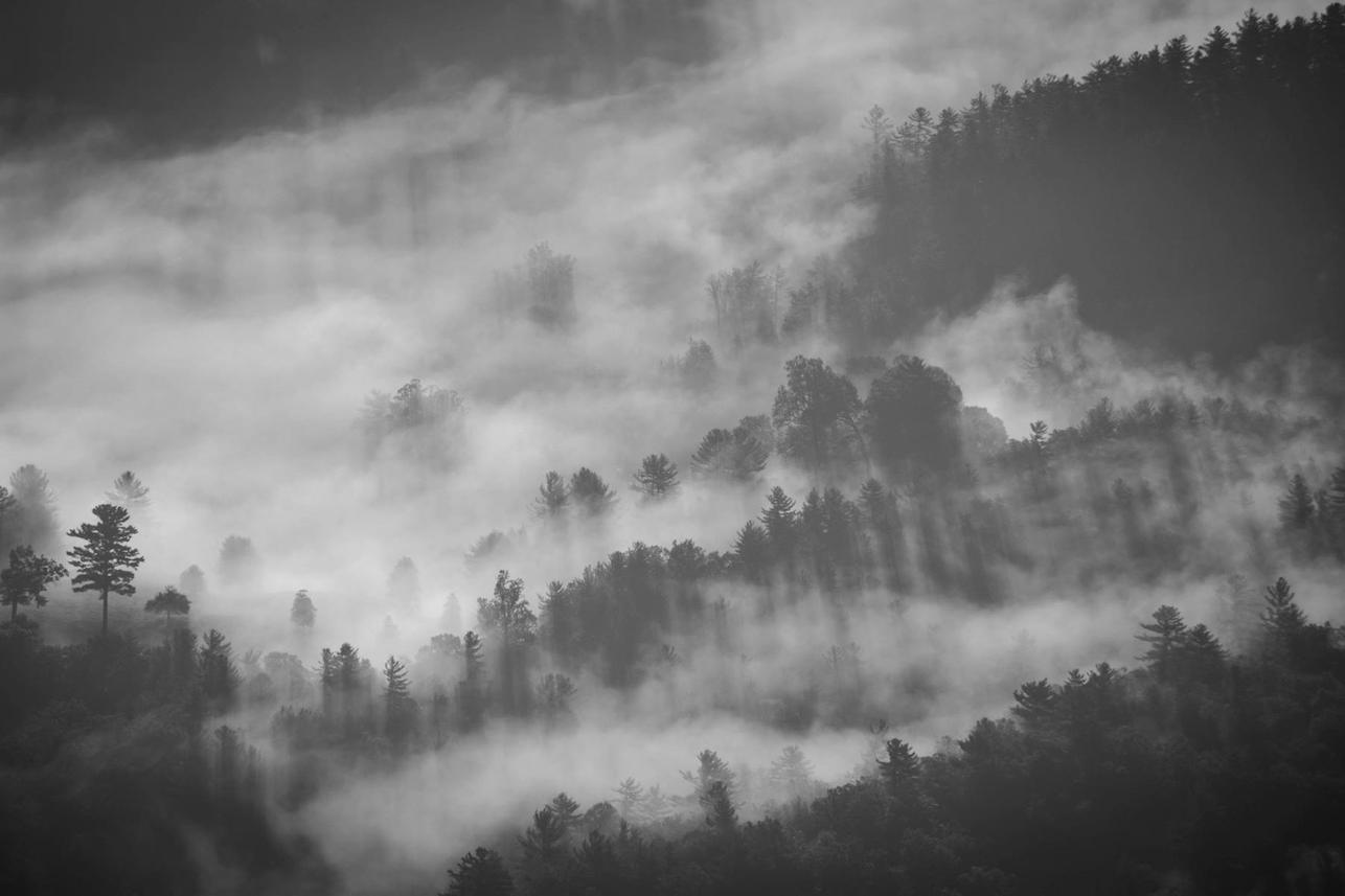 Corrupti sed ab temporibus dolor