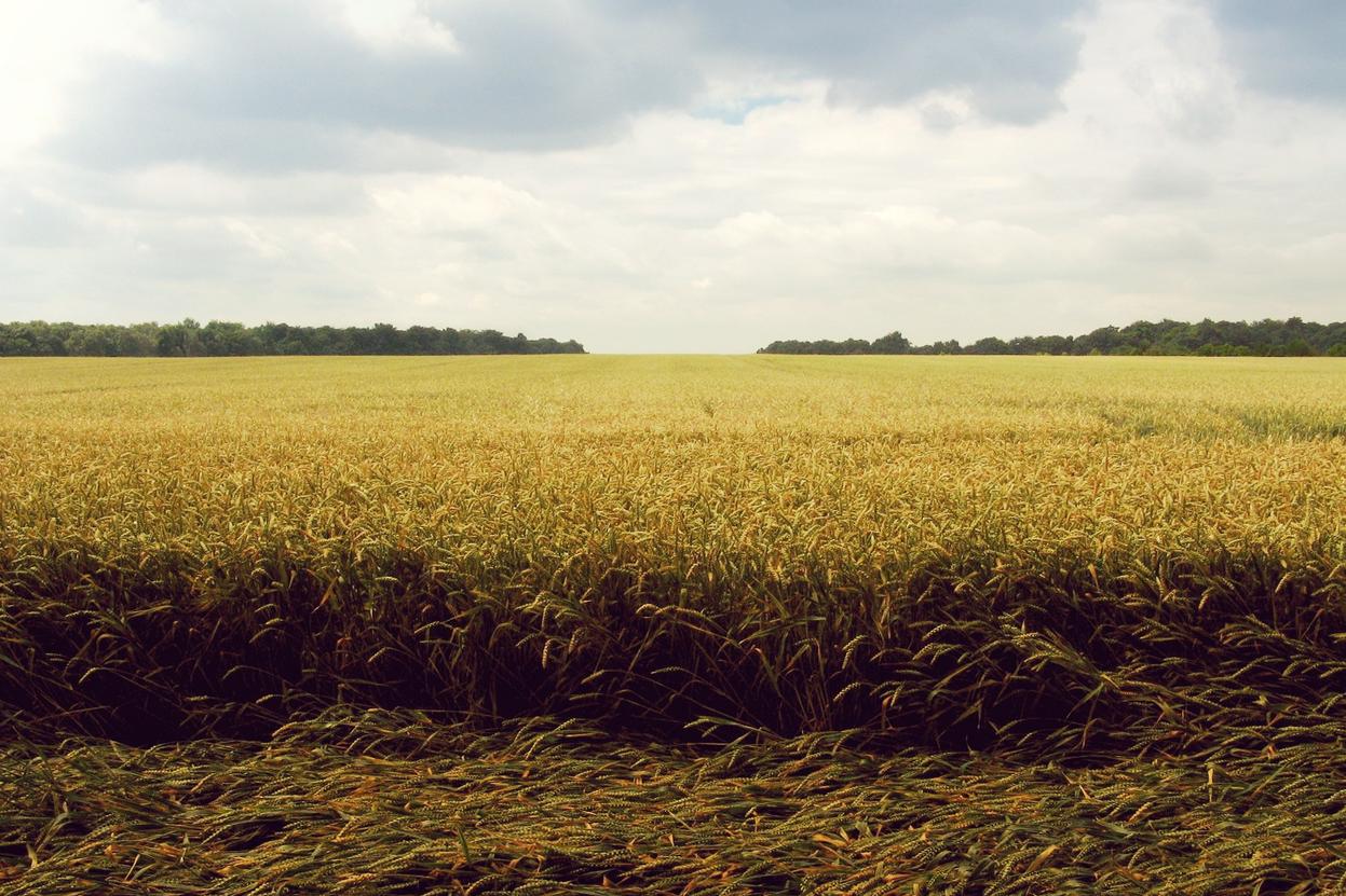 Numquam dolores occaecati autem