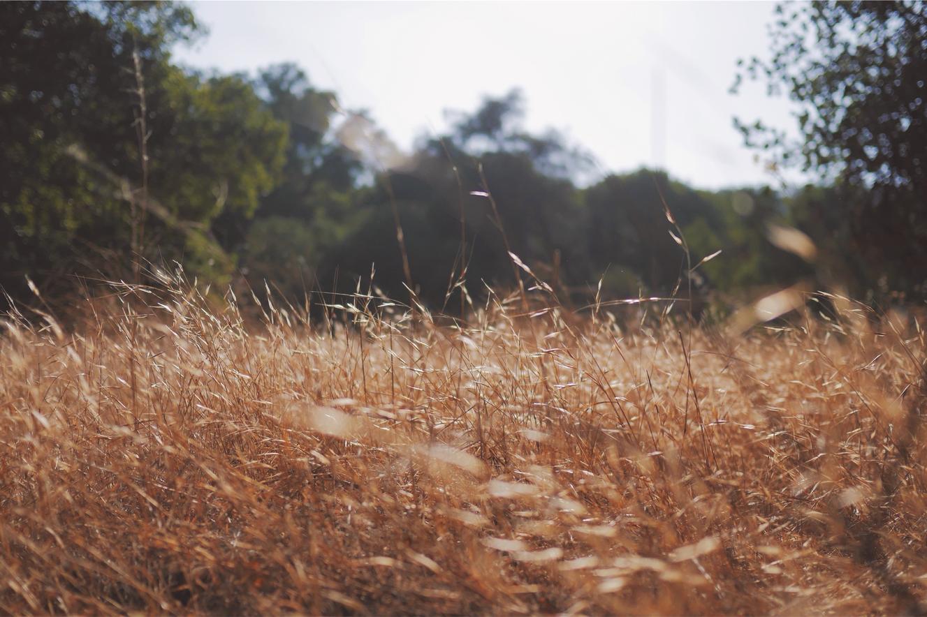 Illum nostrum pariatur non reiciendis est unde