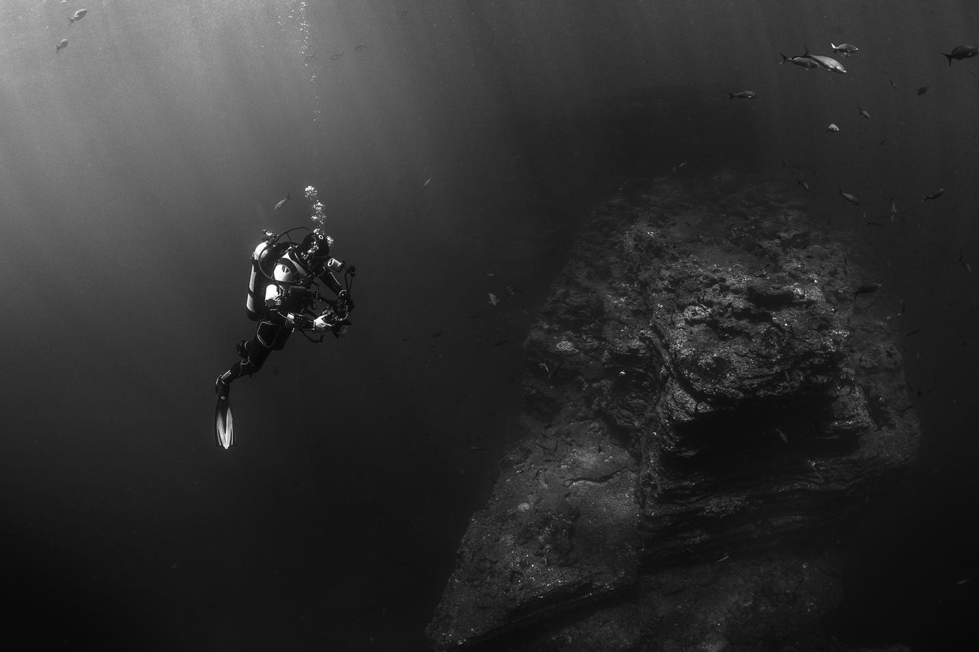 Eum expedita nam est veniam