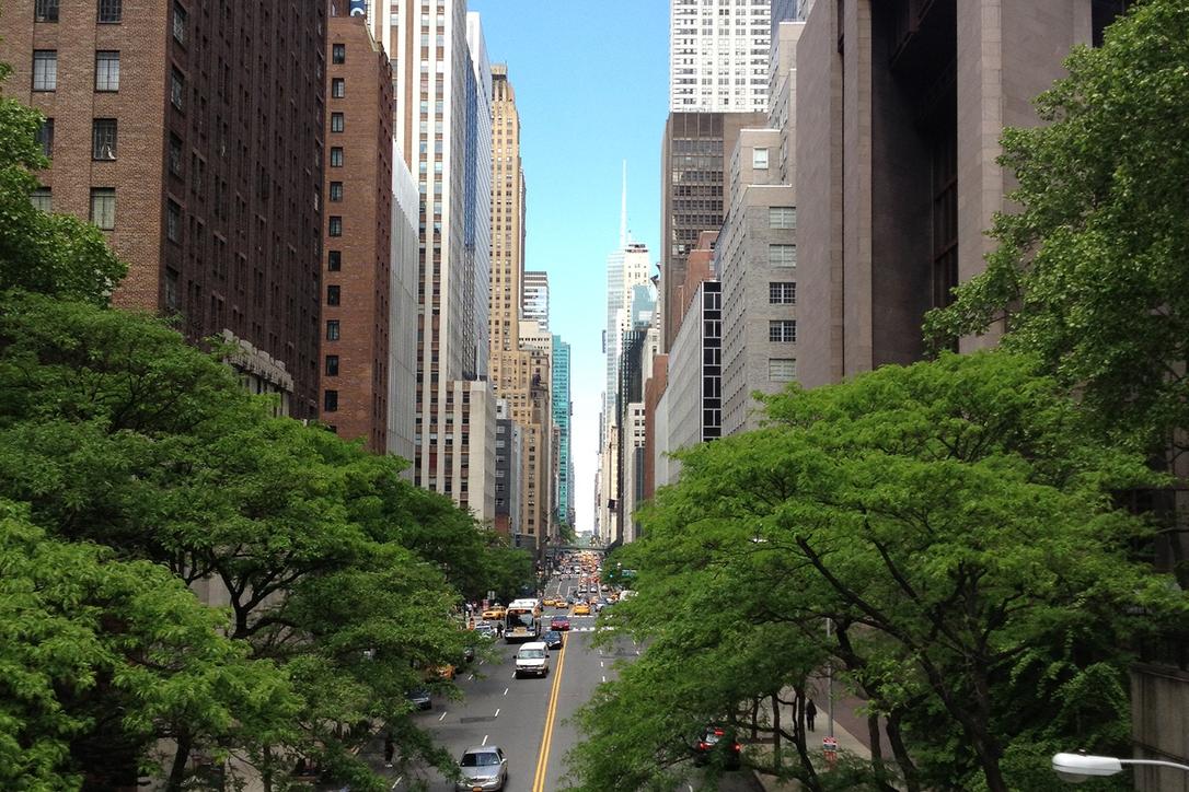 Saepe iusto recusandae dolor